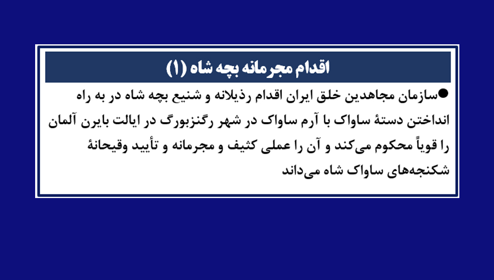 اقدام مجرمانه بچهٔ شاه (۱)